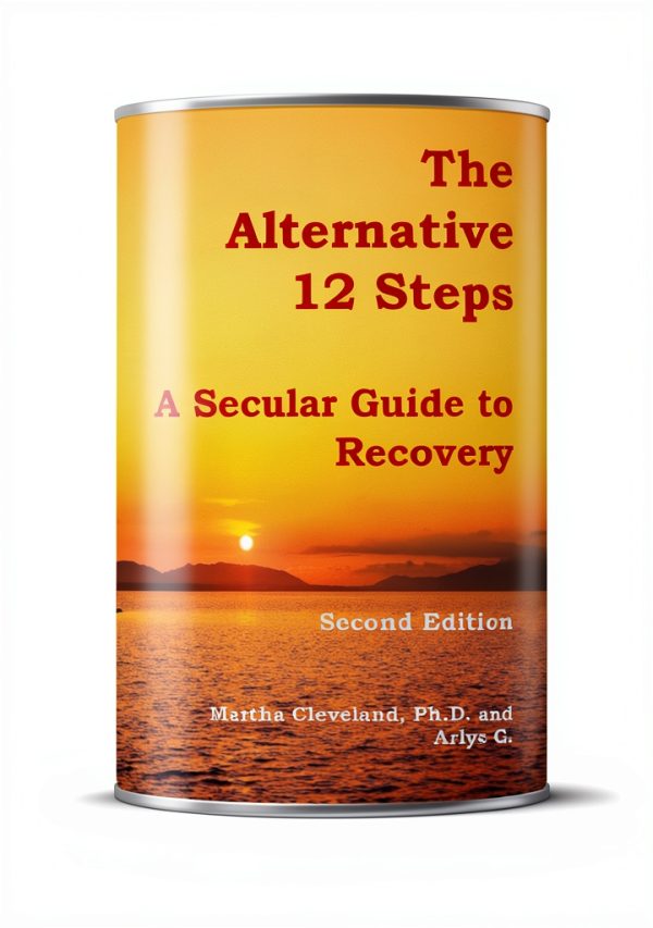 Twelve Step Program Kindle Edition by Amazon-0